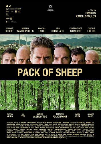 PACK OF SHEEP Kalimera e.V.