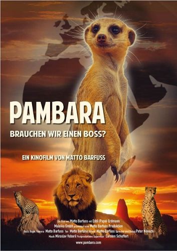 PAMBARA - Brauchen wir einen Boss?